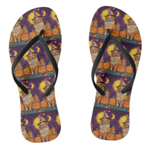 Nova Scotia Duck Toller Halloween Witch Pumpkin Teenslippers