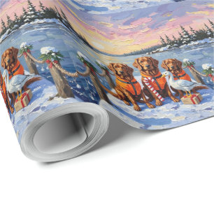 Nova Scotia Duck Toller Kerstmis Bevroren Meer Cadeaupapier