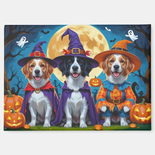 Nova Scotia Duck Toller Pompoen Halloween Grappig Magneet (Voorkant)