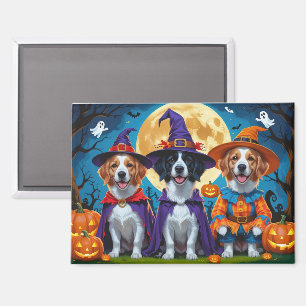 Nova Scotia Duck Toller Pompoen Halloween Grappig Magneet