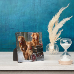 Nova Scotia Duck Toller Retriever Sneeuw slee Fotoplaat