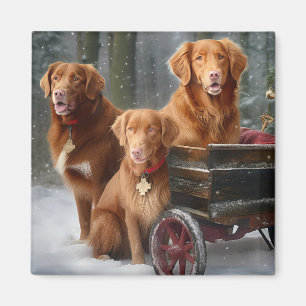 Nova Scotia Duck Toller Retriever Sneeuw slee Magneet