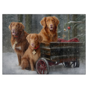 Nova Scotia Duck Toller Retriever Sneeuw slee Snijplank