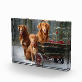 Nova Scotia Duck Toller Retriever Sneeuwslee Fotoblokken (Rechts)