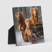 Nova Scotia Duck Toller Retriever Sneeuwslee Fotoplaat (Voorkant)