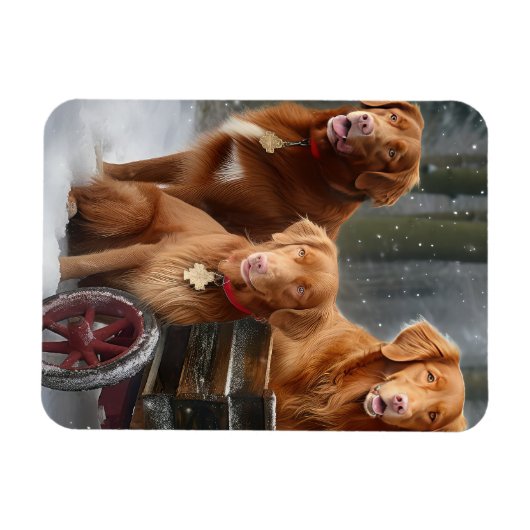 Nova Scotia Duck Toller Retriever Sneeuwslee Magneet (Horizontaal)