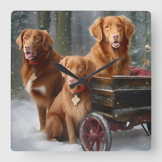 Nova Scotia Duck Toller Retriever Sneeuwslee Vierkante Klok (Voorkant)