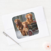 Nova Scotia Duck Toller Retriever Sneeuwslee Vierkante Sticker (Envelop)