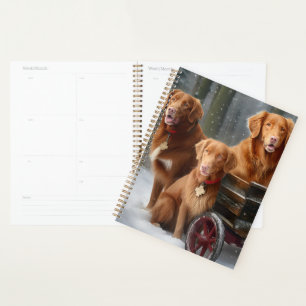 Nova Scotia Duck Toller Retriever Traîneau enneigé