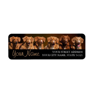 Nova Scotia Duck Tollers Return Address Label