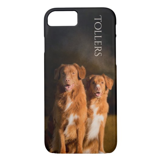 Nova Scotia Duck Tolling Phone Case (Achterkant)