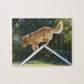 nova scotia duck-tolling recovery ever legpuzzel (Horizontaal)