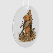 Nova Scotia Duck Tolling Retriever (devant)
