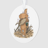 Nova Scotia Duck Tolling Retriever (devant)