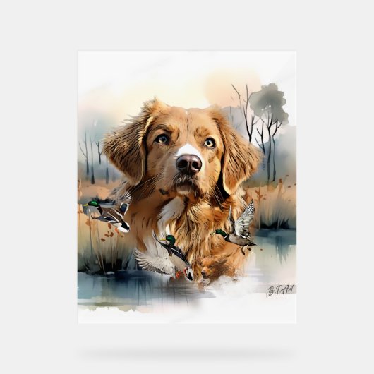 Nova Scotia Duck Tolling Retriever, Art Acryl Bord (Voorkant)