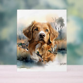 Nova Scotia Duck Tolling Retriever, Art Acryl Bord (Neutraal)