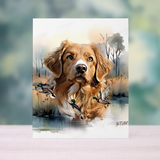 Nova Scotia Duck Tolling Retriever, Art Acryl Bord (Neutraal)