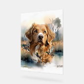 Nova Scotia Duck Tolling Retriever, Art Acryl Bord (Hoek)