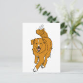 Nova Scotia Duck Tolling Retriever Briefkaart (Staand voorkant)