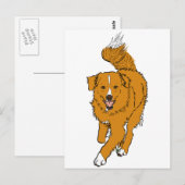 Nova Scotia Duck Tolling Retriever Briefkaart (Voorkant / Achterkant)