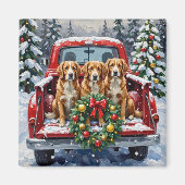 Nova Scotia Duck Tolling Retriever Christmas Red Magneet (Voorkant)