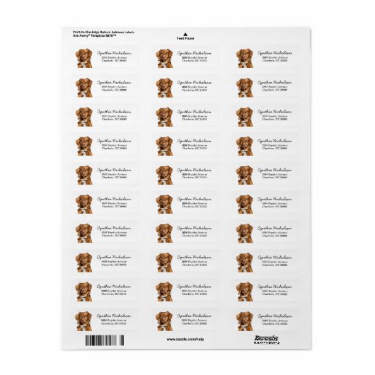 Nova Scotia Duck Tolling Retriever Dog Etiket (Full Sheet)