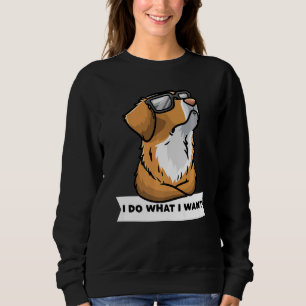 Nova Scotia Duck Tolling Retriever Dog met Sungla Trui