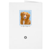 Nova Scotia Duck Tolling Retriever Dog Painting (Achterkant)