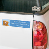 Nova Scotia Duck Tolling Retriever Dog Painting Bumpersticker (Op Truck)