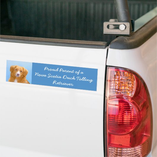 Nova Scotia Duck Tolling Retriever Dog Painting Bumpersticker (Op Truck)