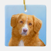 Nova Scotia Duck Tolling Retriever Dog Painting Keramisch Ornament (Voorkant)