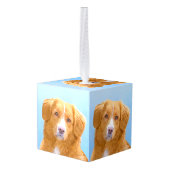 Nova Scotia Duck Tolling Retriever Dog Painting Kubus Ornament (Achter hoekig)