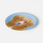 Nova Scotia Duck Tolling Retriever Dog Painting Papieren Bordje (Gekanteld)