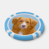 Nova Scotia Duck Tolling Retriever Dog Painting Poker Chips (Enkel)