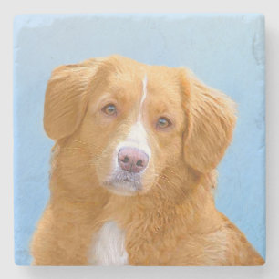 Nova Scotia Duck Tolling Retriever Dog Painting Stenen Onderzetter