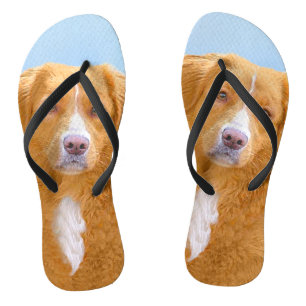 Nova Scotia Duck Tolling Retriever Dog Painting Teenslippers