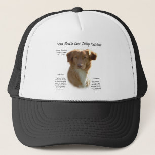 Nova Scotia Duck Tolling Retriever Geschiedenis On Trucker Pet