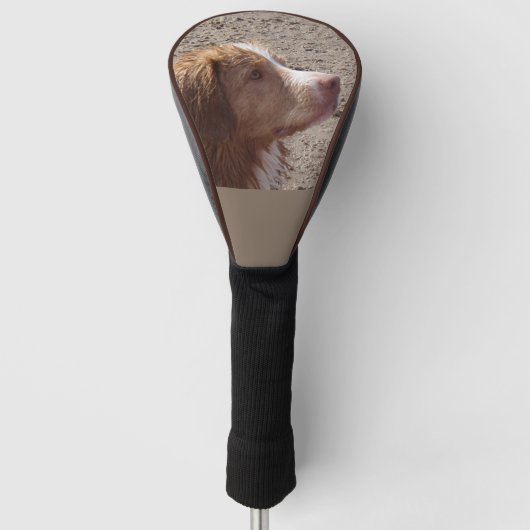 Nova_Scotia_Duck_Tolling_Retriever Golfheadcover (Voorkant)