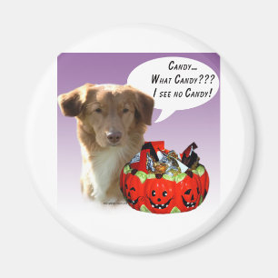 Nova Scotia Duck Tolling Retriever Halloween Snoep Magneet