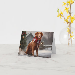 Nova Scotia Duck Tolling Retriever Hond in Sneeuw  Kaart