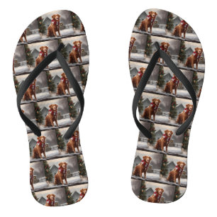 Nova Scotia Duck Tolling Retriever Hond in Sneeuw Teenslippers
