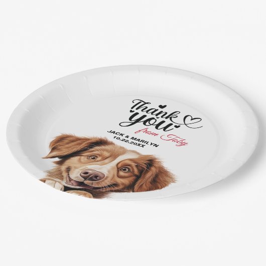 Nova Scotia Duck Tolling Retriever-hond Papieren Bordje (Gekanteld)