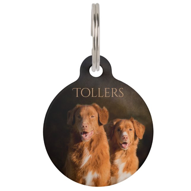 Nova Scotia Duck Tolling Retriever Huisdierpenning (Voorkant)