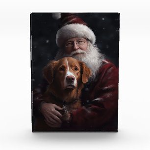 Nova Scotia Duck Tolling Retriever Met Sinterklaas Fotoblokken