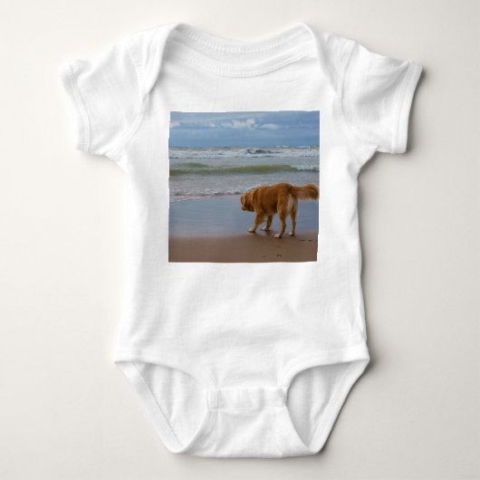 Nova Scotia Duck Tolling Retriever Ocean Attous Romper (Voorkant)