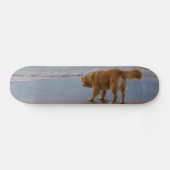 Nova Scotia Duck Tolling Retriever Ocean Attous Skateboard (Horizontaal)
