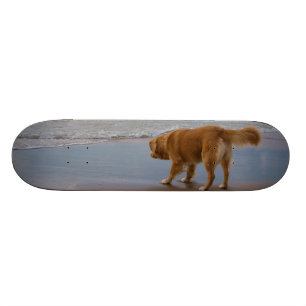 Nova Scotia Duck Tolling Retriever Ocean Attous Skateboard