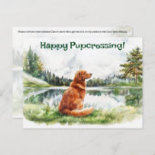 Nova Scotia Duck Tolling Retriever Postcrossing Briefkaart (Voorkant / Achterkant)