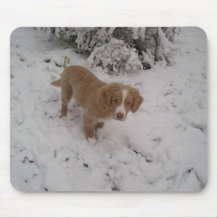 Nova_Scotia_Duck-Tolling_Retriever pup in sneeuw Muismat
