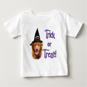 Nova Scotia Duck Tolling Retriever Trick